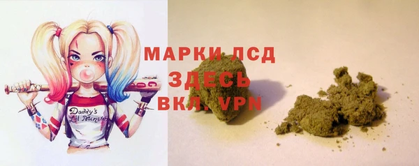 эйфоретик Алзамай