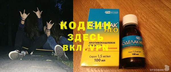 гашик Алексин